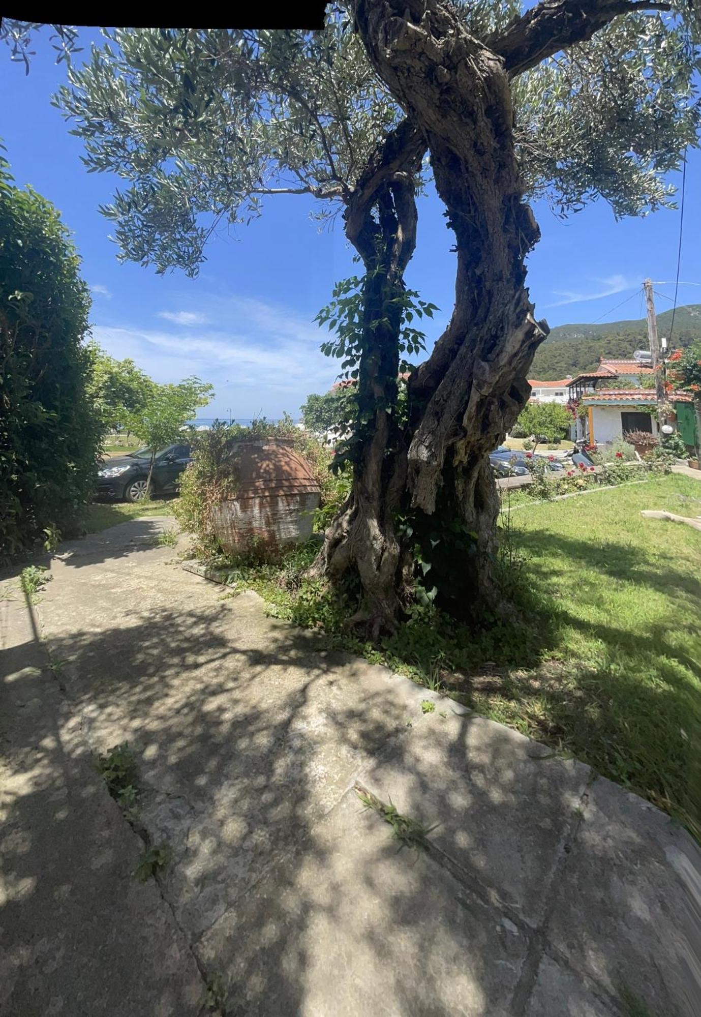 Ferienwohnung Eleni Del Sol Skopelos Exterior foto